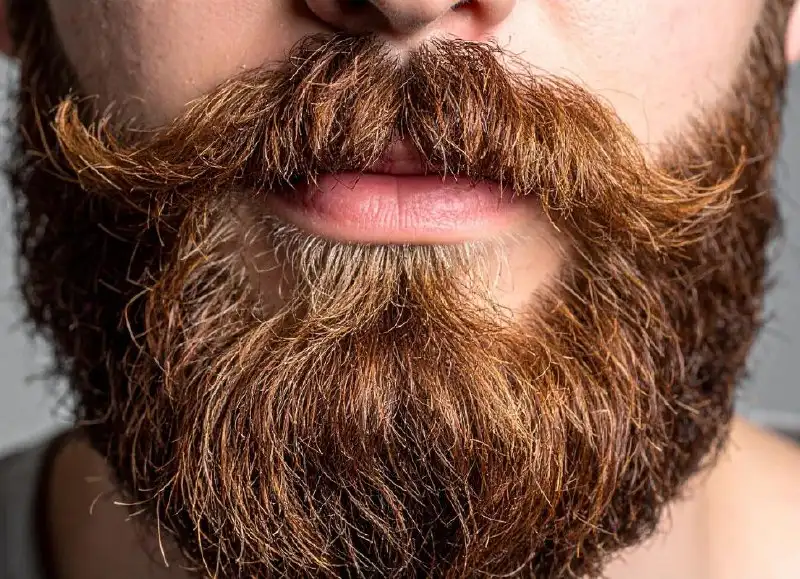 Йонас Portfolio 6